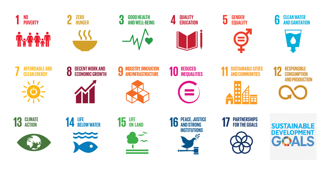 united nations sustainable development goals essay